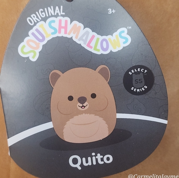 🖤 QUITO 🐻 Select Series Black Tag Quito Original Squishmallow ☆》NWT《☆ - Picture 3 of 10
